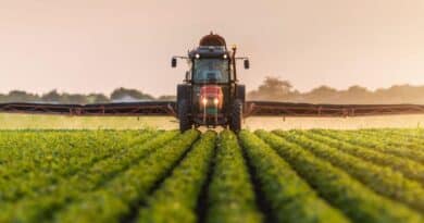 EPA Reapproves Dangerous, Drift-Prone Pesticide Dicamba EPA Reapproves Dangerous, Drift-Prone Pesticide Dicamba