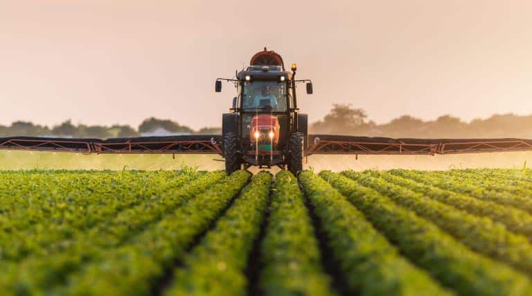 EPA Reapproves Dangerous, Drift-Prone Pesticide Dicamba