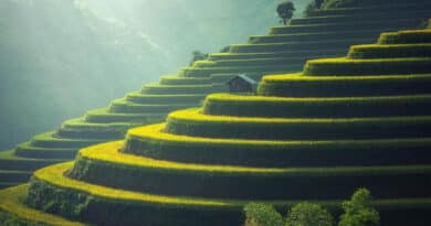 China Details Measures To Further Advance Agricultural Modernization, Rural Revitalization