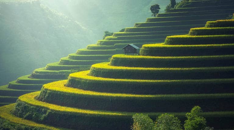 China Details Measures To Further Advance Agricultural Modernization, Rural Revitalization