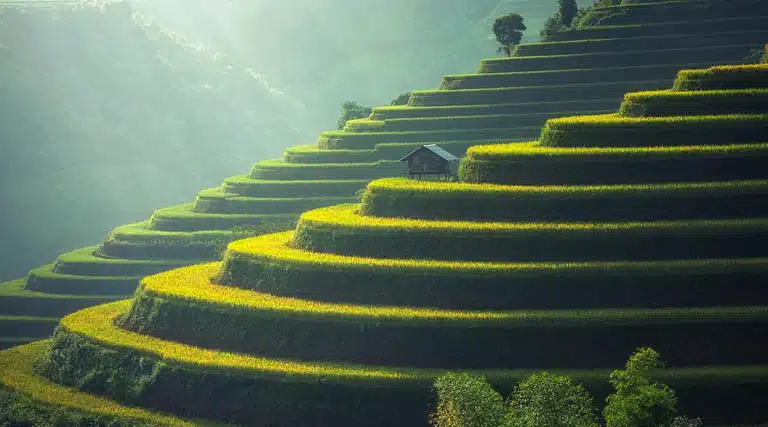 China Details Measures To Further Advance Agricultural Modernization, Rural Revitalization