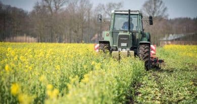 China Outlines Plans For Agricultural Modernization, Rural Revitalization