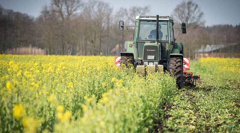 China Outlines Plans For Agricultural Modernization, Rural Revitalization