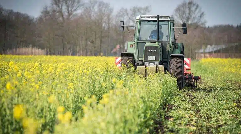China Outlines Plans For Agricultural Modernization, Rural Revitalization