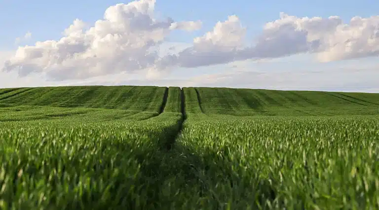 Agriculture And Farmers’ Welfare Minister Shyam Singh Rana Visits Villages In Radaur, Listens To Public Grievances