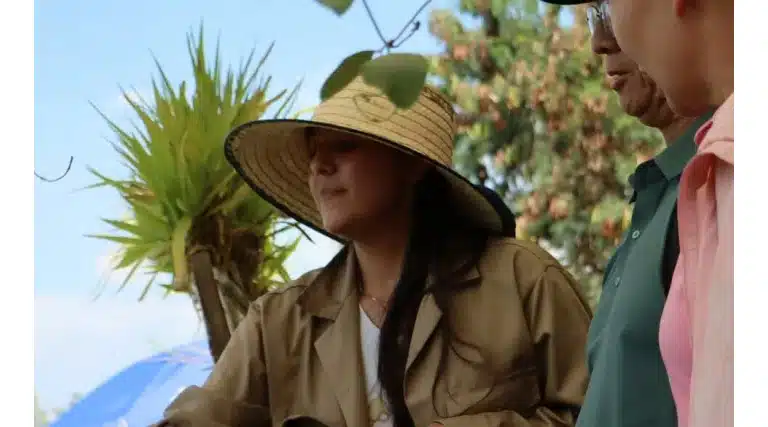 Scaling Green Manure In Hainan With Forages That Reduce Costs And Support National Soil Policies