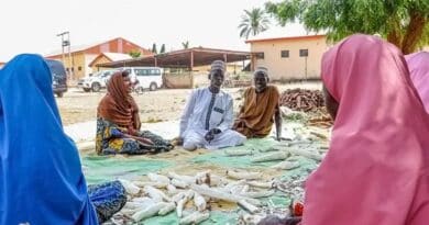 From Vision To Impact: What Closing The Gender Gap In STEM Really Means For Africa From Vision To Impact: What Closing The Gender Gap In STEM Really Means For Africa