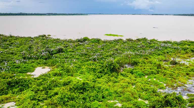 Boeng Sneh Lake: Water, Life, and Our Shared Future