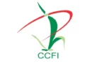 “Budget 2026–27 Focuses on High-Value, Niche Segments in Agriculture,” Says Deepak Shah, Chairman, Crop Care Federation of India (CCFI) “Budget 2026–27 Focuses on High-Value, Niche Segments in Agriculture,” Says Deepak Shah, Chairman, Crop Care Federation of India (CCFI)
