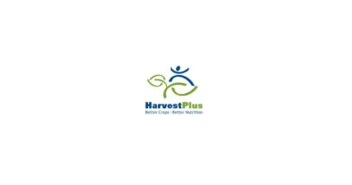 NutriHarvest: Transforming Lives and School Meals Trough Iron Beans in Iringa