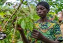 Volcano Coffee Works and WeWork Turn Everyday Coffee into Scalable Social Impact