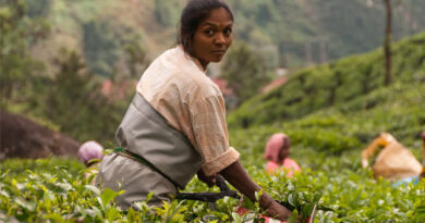 International Year of the Woman Farmer 2026: A Call to Recognise and Empower Women in Agriculture