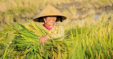 Women Farmers Call for Gender Equality to Strengthen Global Food Security