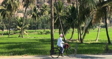 India’s Foodgrain Production Estimated at 3,486 LMT in 2025–26: Ministry of Agriculture & Farmers Welfare India’s Foodgrain Production Estimated at 3,486 LMT in 2025–26: Ministry of Agriculture & Farmers Welfare