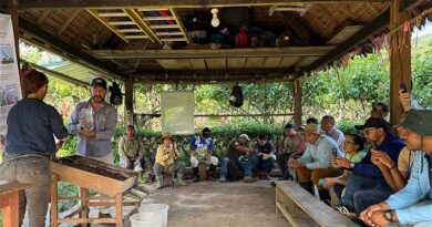 Soil Health In Cocoa Production