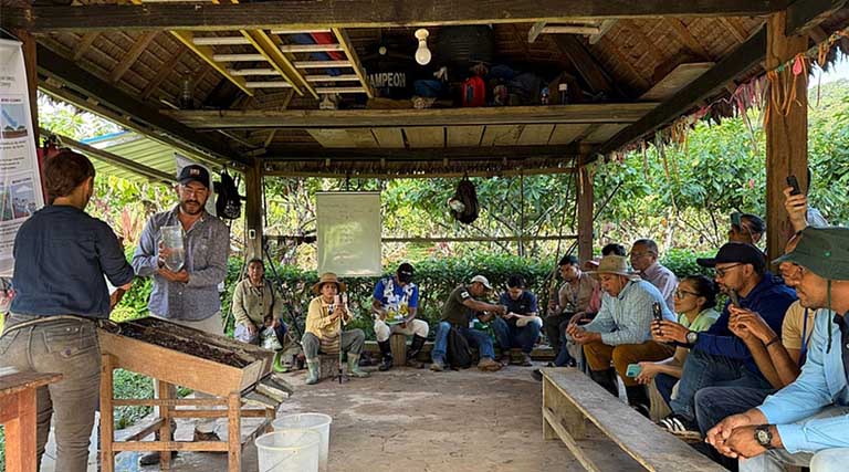 Soil Health In Cocoa Production