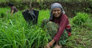 Why Women Are Central To Resilient Food Systems Why Women Are Central To Resilient Food Systems