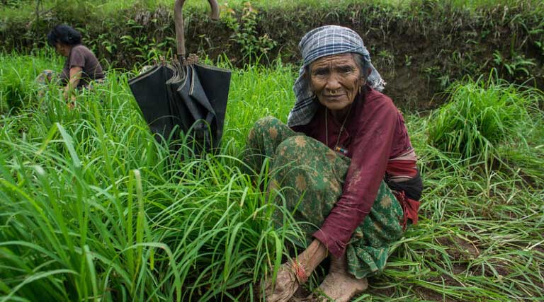 Why Women Are Central To Resilient Food Systems