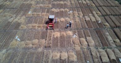 FAO Food Price Index Rises In February For First Time In Five Months