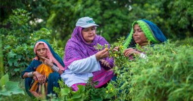 Transforming Women’s Empowerment In Agrifood Systems