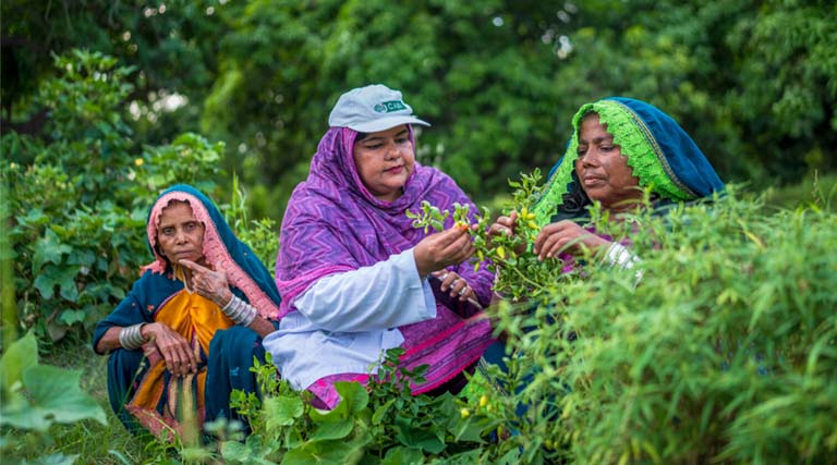 Transforming Women’s Empowerment In Agrifood Systems