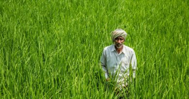 India Tightens Regulations for Nano Fertilizers Under Fertiliser Control Order Amendment India Tightens Regulations for Nano Fertilizers Under Fertiliser Control Order Amendment
