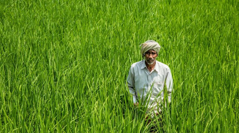 India Tightens Regulations for Nano Fertilizers Under Fertiliser Control Order Amendment