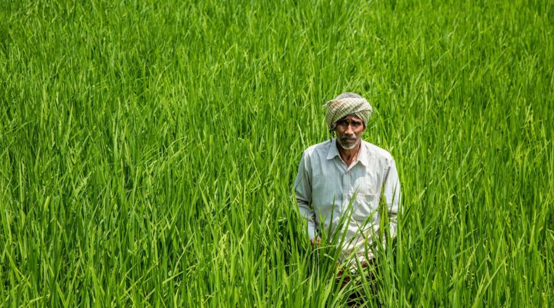 India Tightens Regulations for Nano Fertilizers Under Fertiliser Control Order Amendment