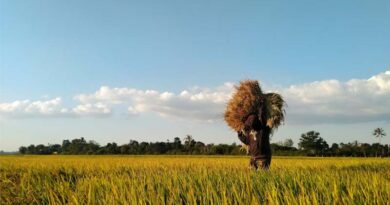 India’s Foodgrain Output Projected at Record 3486 LMT in 2025–26: Second Advance Estimates