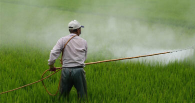 India’s Per Hectare Pesticide Use Far Below Global Levels; CropLife India Urges Evidence-Based Debate