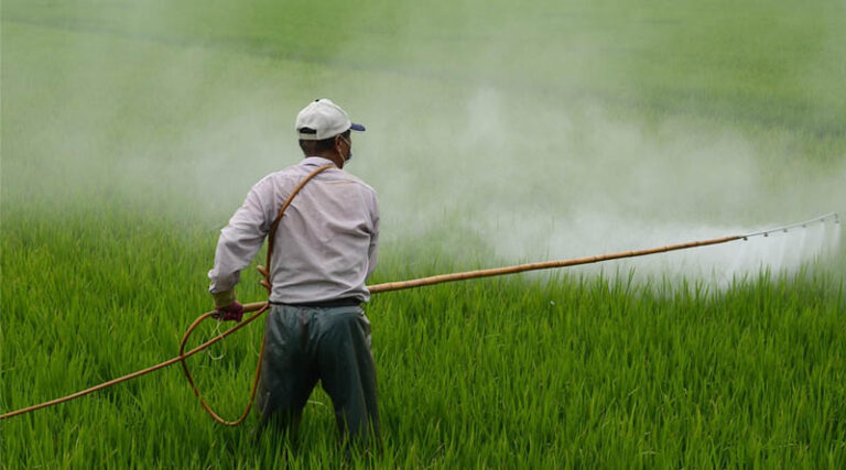 India’s Per Hectare Pesticide Use Far Below Global Levels; CropLife India Urges Evidence-Based Debate