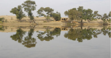 Union Agriculture Minister in Lok Sabha: Incomplete Irrigation Schemes and River-Linking Projects Back on Track under Our Government