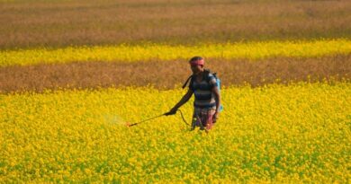 Agrochemical Costs to Rise 20–25% in India Amid Supply Disruptions: CropLife India