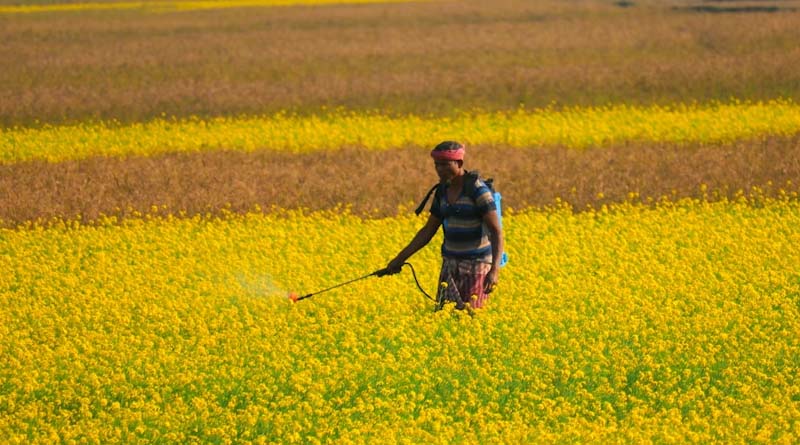 Agrochemical Costs to Rise 20–25% in India Amid Supply Disruptions: CropLife India