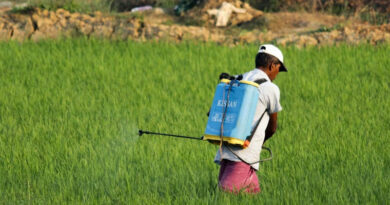 India Brings Nano Fertilisers into Regulatory Fold, Notifies 14 Nano Products Under FCO