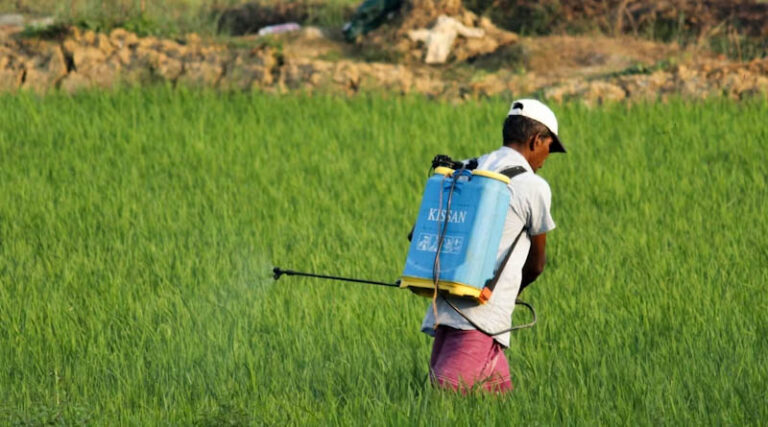 India Brings Nano Fertilisers into Regulatory Fold, Notifies 14 Nano Products Under FCO