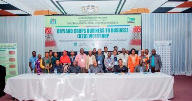 Unlocking Investment and Innovation in Dryland Crops: A Business Forum on Sorghum and Groundnut in Tanzania