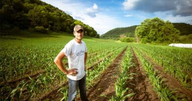 Global Urea Disruptions Will Force Farmers to Rethink Crop Choices