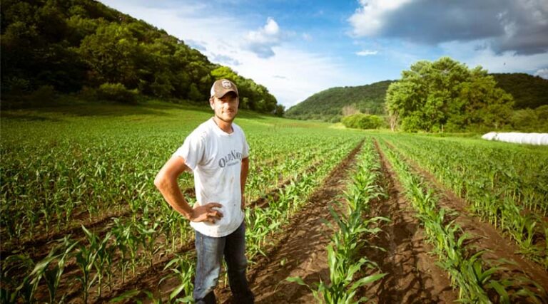 Global Urea Disruptions Will Force Farmers to Rethink Crop Choices