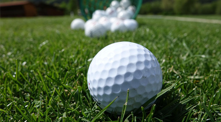 The Growing Threat of Herbicide Resistant Weeds in Turf: A Global Overview