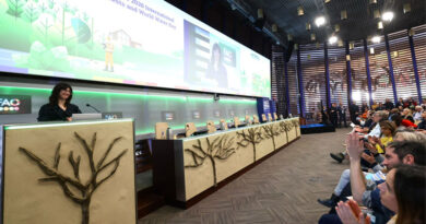 FAO celebrates 2026 International Day of Forests and World Water Day FAO celebrates 2026 International Day of Forests and World Water Day