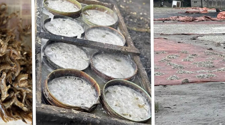 Can Better Fish Processing Improve Diets Without Undermining Local Nutrition?