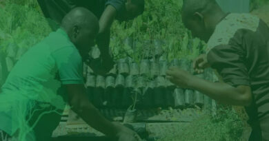 Grow Trees. Grow Futures. Restore Landscapes With Farmers