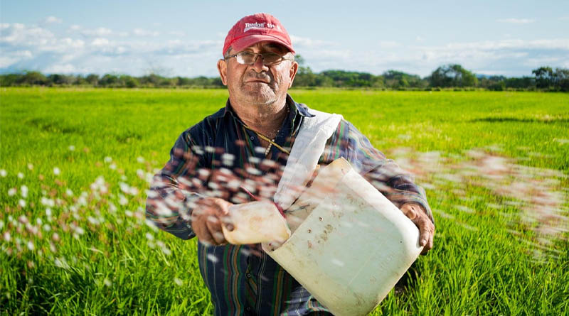 Glyphosate Price Exceeds 30,000 Yuan per Ton, Herbicide Market Sentiment Rebounds