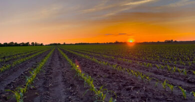 Ag Groups Urge Mosaic, J.R. Simplot to Renounce Fertilizer Duties