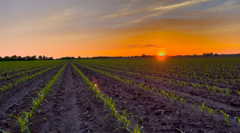 Ag Groups Urge Mosaic, J.R. Simplot to Renounce Fertilizer Duties