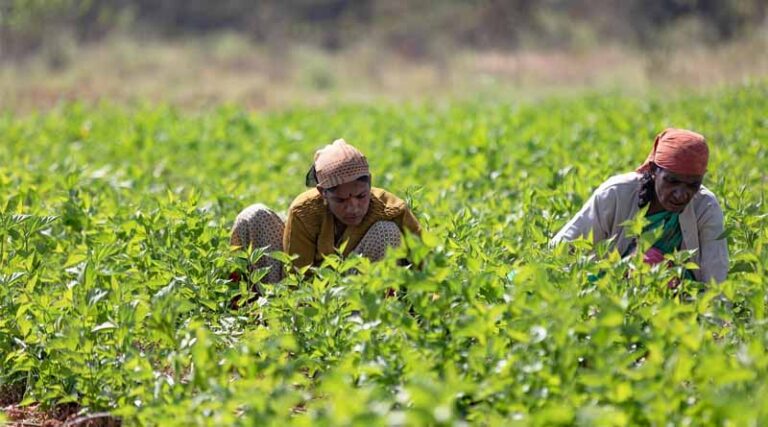 GCWAS-2026 Concludes with Renewed Global Commitment to Empower Women in Agri-Food Systems