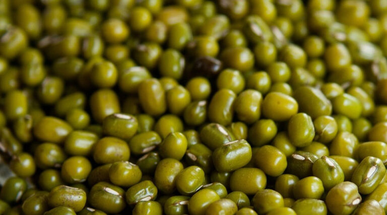 Balanced Nutrition Becomes Critical for Mung Bean Cultivation: The Role of Groplus