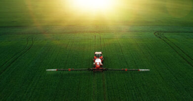 Center for Food Safety Sues FWS to Force Release of Dicamba Documents Center for Food Safety Sues FWS to Force Release of Dicamba Documents