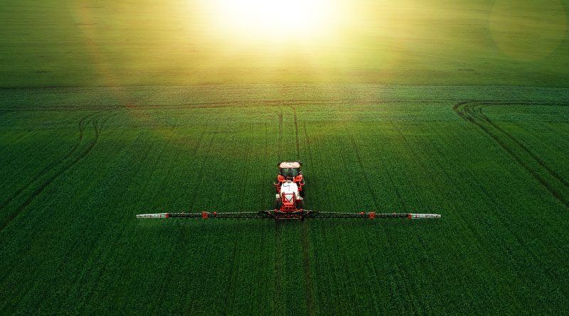 Center for Food Safety Sues FWS to Force Release of Dicamba Documents